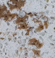p5.jpg